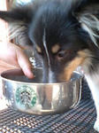070915_1517~0003.jpg