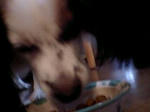 d83926b6jpeg