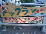 afc9021ajpeg