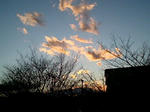ピンクの雲