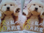 ソックス