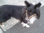 ａｆｔｅｒ