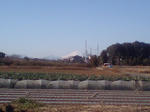 富士山!!