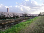 ずら～っと。