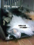 何か文句でも?
