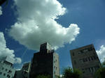 雲
