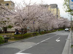 鴨川２