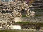 鴨川４