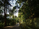 in 蹴上