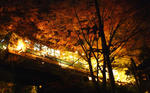1280×800（273KB）