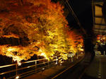 1024×768（227KB）