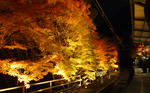 1280×800（298KB）