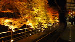 1366×768（298KB）