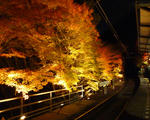 1280×1024（351KB）