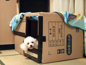 DSCF5780.JPG