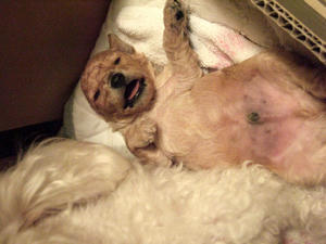 DSCF5788.JPG
