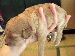 DSCF5792.JPG