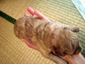 DSCF5793.JPG
