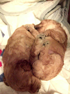 DSCF5797.JPG