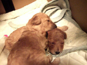 DSCF5798.JPG