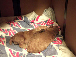 DSCF5802.JPG