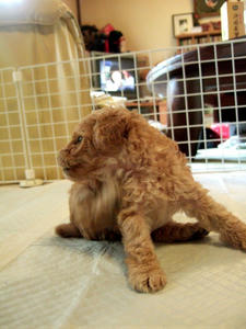 DSCF5906.JPG