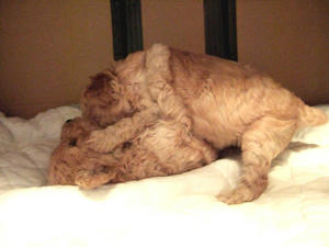 DSCF5912.JPG