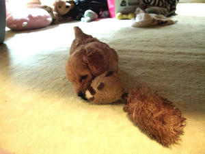 DSCF5924.JPG