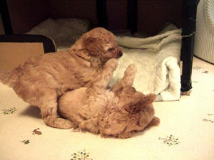 DSCF5926.JPG