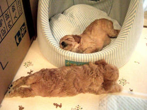DSCF5934.JPG