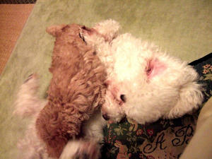 DSCF5969.JPG