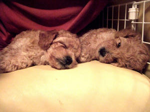 DSCF5973.JPG