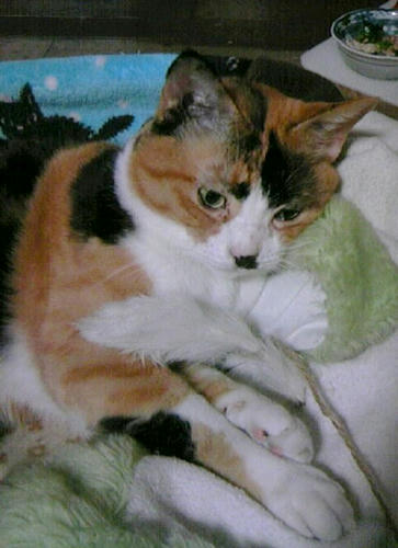 06e20500.JPG