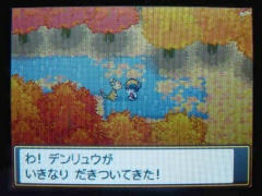 デンリュウと