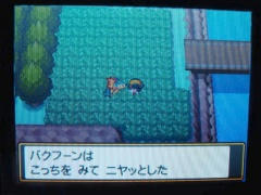 ばくふーん