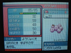 タマタマ
