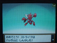 ハッサムに進化