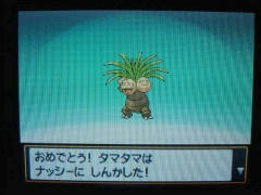 ナッシー