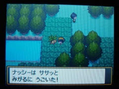 ナッシー