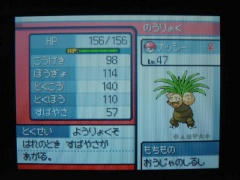 ナッシー