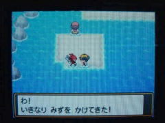 ハッサムと