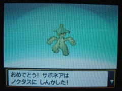 サボネア進化