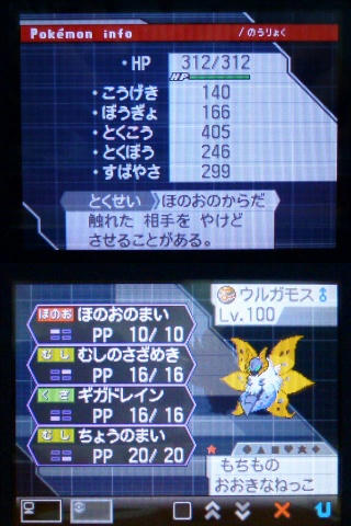 何時の間にやらlv100になった ドンマイ 他力本願