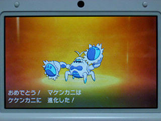 ポケモン マケンカニ 進化 レベル