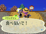 RUU_0053.JPG