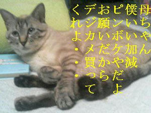 そんな目でみるなｗ