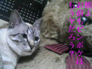 いじけてた；ｗ；