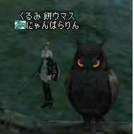 ててぽっぽー