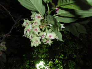 P4210070.JPG