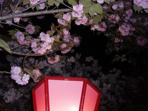 P4210057.JPG